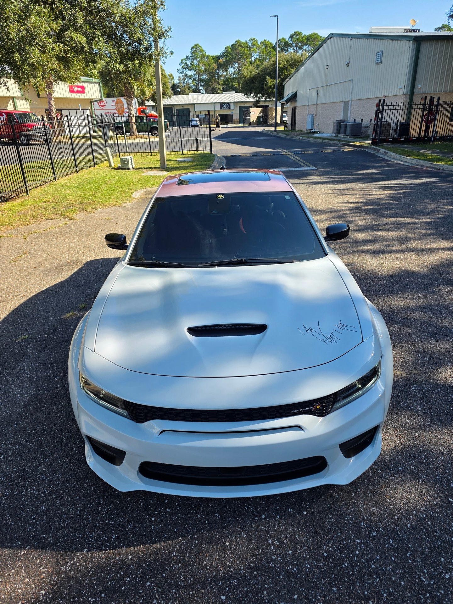 Our Custom Wrap Portfolio image 5